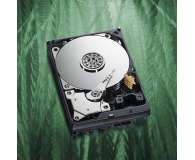 WD Green 1TB WD10EZRX - 1425939 - zdjęcie 6